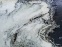 Мрамор Dalmata